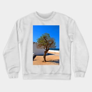 Olive Tree Nossa Senhora da Rocha Porches Algarve Portugal Crewneck Sweatshirt